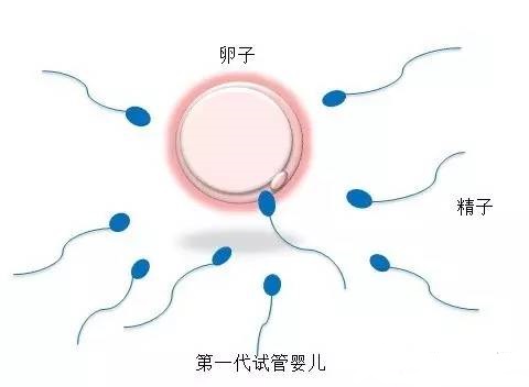实验室 Fig.03